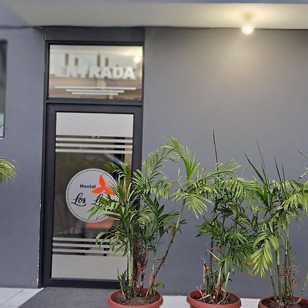 Hostal Los Lirios Лоха Экстерьер фото